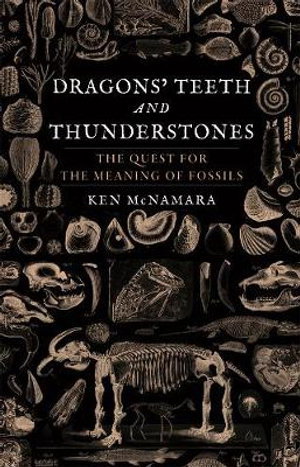 Cover art for Dragons' Teeth and Thunderstones