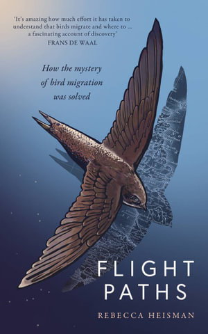 Cover art for Flight Paths