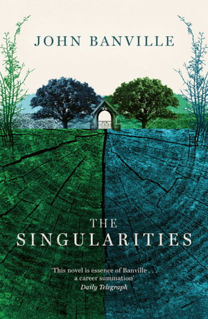 Cover art for The Singularities