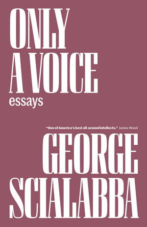 Cover art for Only a Voice