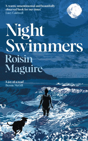 Cover art for Night Swimmers