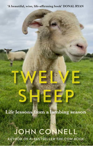 Cover art for Twelve Sheep