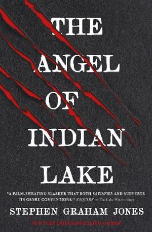 Cover art for The Angel of Indian Lake