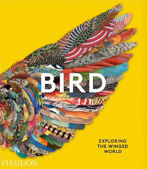 Cover art for Bird: Exploring the Winged World