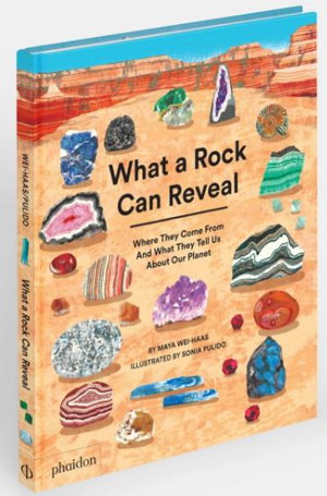 Cover art for What a Rock Can Reveal