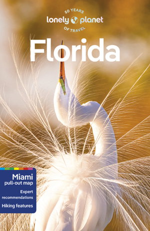 Cover art for Lonely Planet Florida