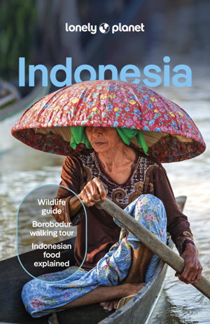 Cover art for Lonely Planet Indonesia