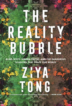 Cover art for Reality Bubble