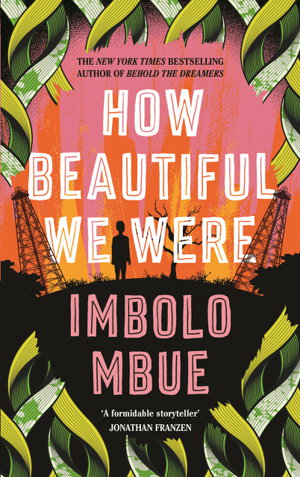 Cover art for How Beautiful We Were