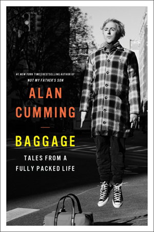 Cover art for Baggage