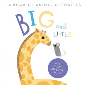 Cover art for Big and Little