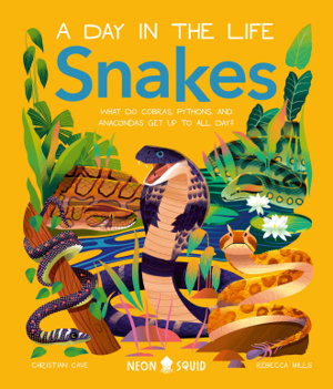 Cover art for Snakes (A Day In The Life)