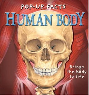 Cover art for Pop-up Facts: Human Body