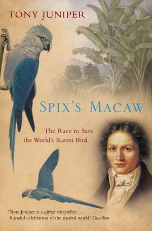 Cover art for Spix's Macaw