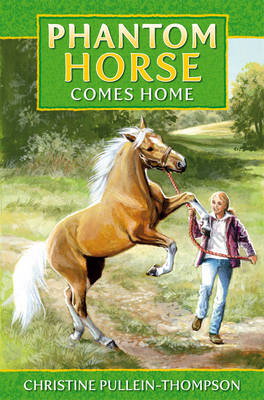 Cover art for Phantom Horse