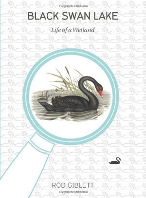 Cover art for Black Swan Lake