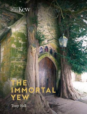 Cover art for The Immortal Yew