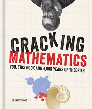 Cover art for Cracking Mathematics