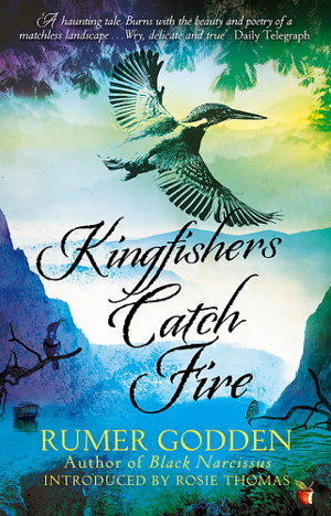 Cover art for Kingfishers Catch Fire