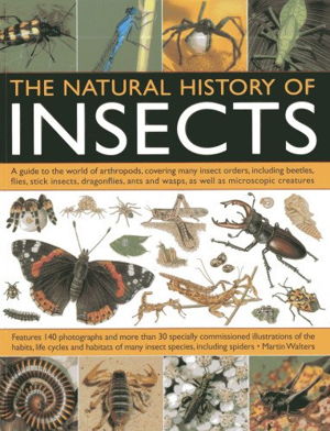Cover art for Natural History of Insects