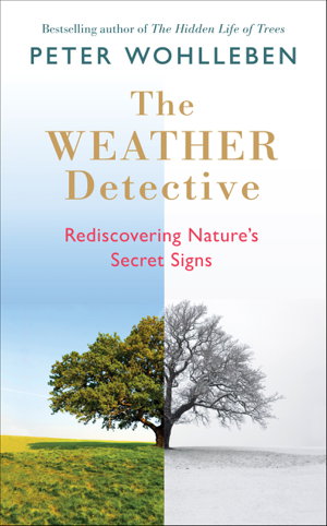 Cover art for The Weather Detective
