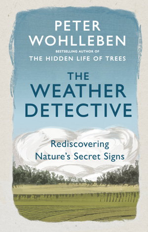 Cover art for Weather Detective