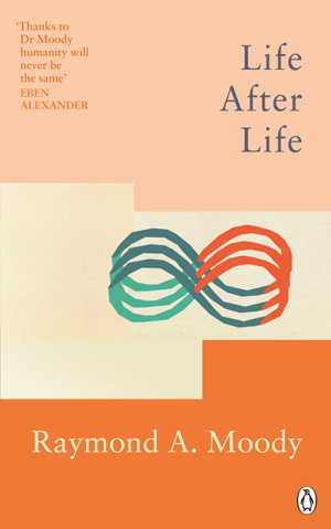 Cover art for Life After Life