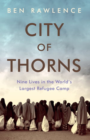 Cover art for City of Thorns