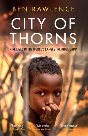 Cover art for City of Thorns