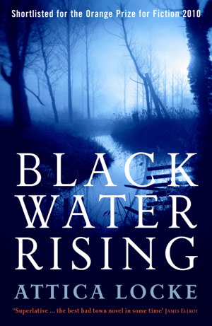 Cover art for Black Water Rising