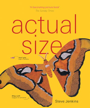 Cover art for Actual Size