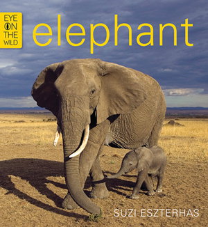 Cover art for Eye on the Wild Elephant