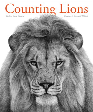 Cover art for Counting Lions