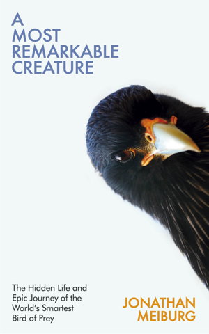 Cover art for A Most Remarkable Creature
