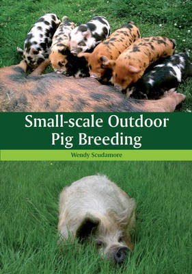 Cover art for Small-Scale Outdoor Pig Breeding