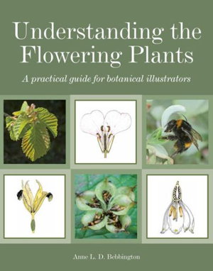 Cover art for Understanding the Flowering Plants