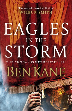Cover art for Eagles in the Storm