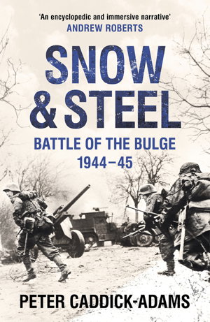 Cover art for Snow and Steel