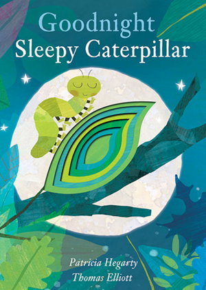Cover art for Goodnight Sleepy Caterpillar