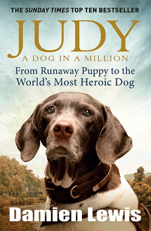 Cover art for Judy: A Dog in a Million