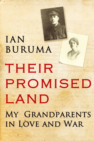 Cover art for Their Promised Land