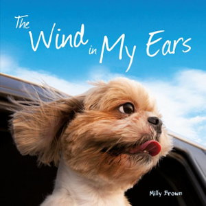 Cover art for Wind in My Ears