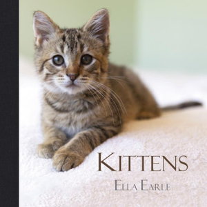 Cover art for Kittens