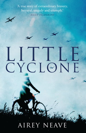 Cover art for Little Cyclone