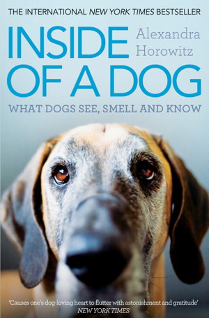 Cover art for Inside of a Dog What Dogs See Smell and Know