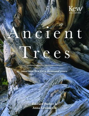 Cover art for Ancient Trees