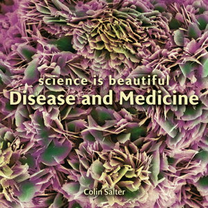 Cover art for Science is Beautiful