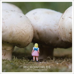 Cover art for Microworlds
