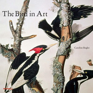 Cover art for The Bird in Art
