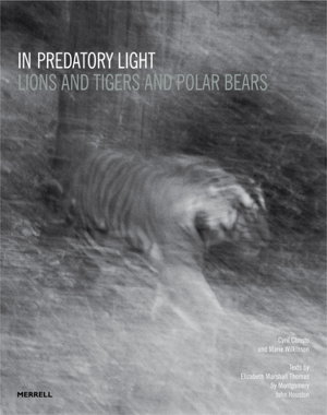 Cover art for In Predatory Light